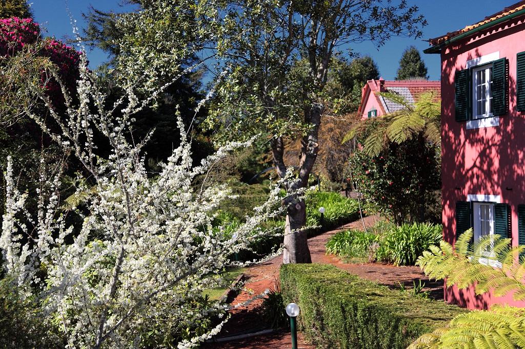 Quinta Santo Antonio Da Serra Exteriör bild