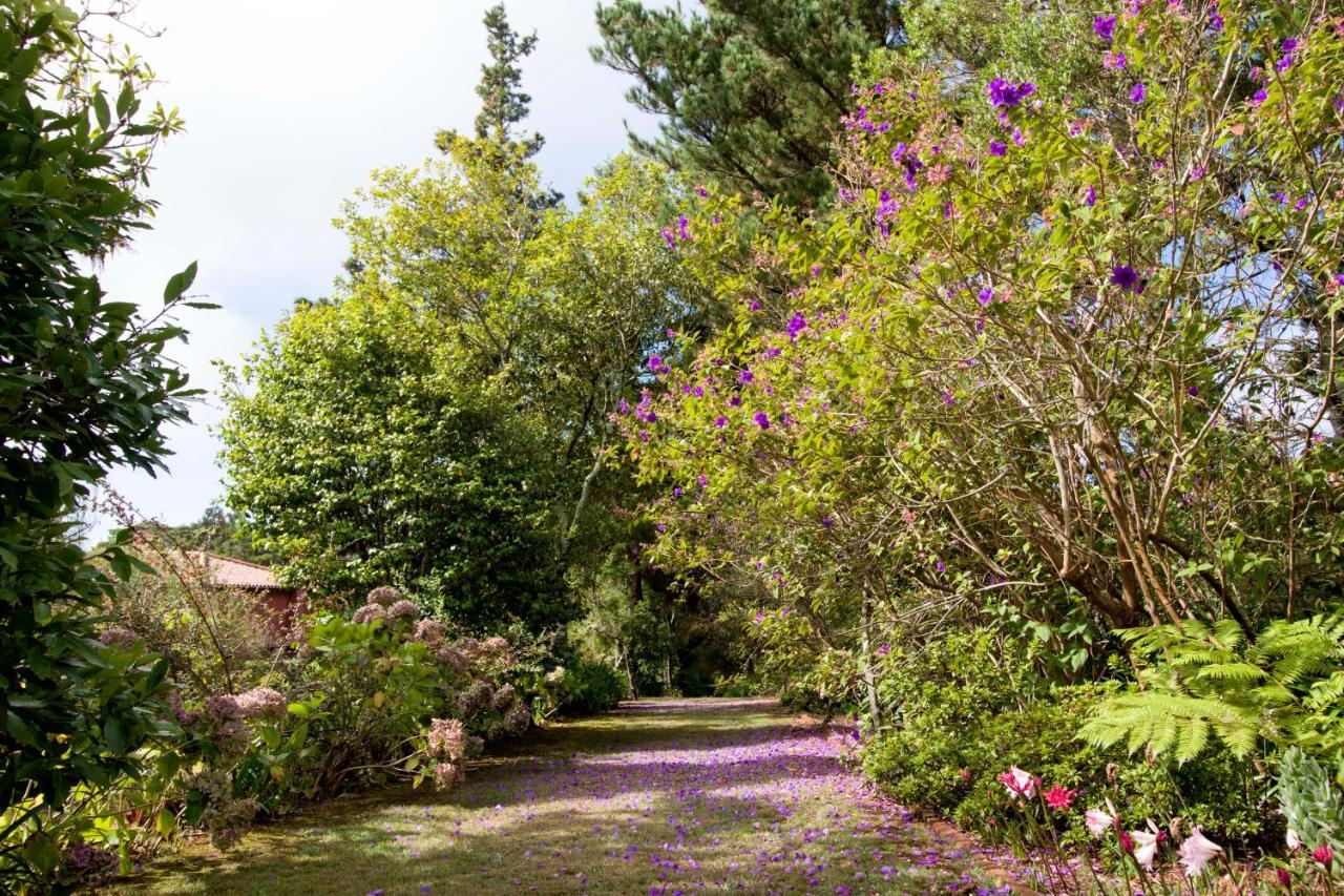 Quinta Santo Antonio Da Serra Exteriör bild